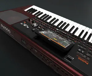 Korg Pa1000 61-Key Professional Arranger