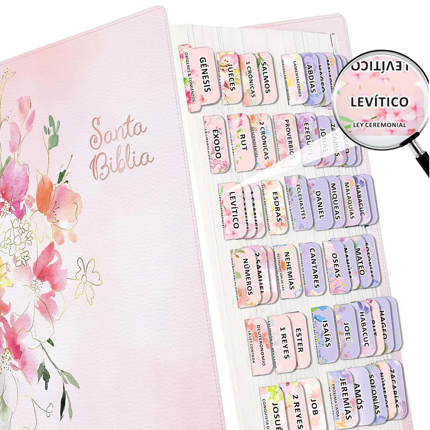80pcs Spanish Bible Tabs, Adhesive Tabs, Index Tabs, Easy Peel-and-Stick Laminated Design, Large Print Book Names for Study Bible, Inspirational Book Summary Phrases, Book Accessories, Book Reading Stickers, Sticky Index Tabs