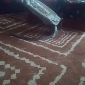 Electric Baby Swing for Infants to Toddler with 5 Adjustable Speeds Bluetooth Music 3-Point Harness Detachable Mosquito Net Portable Foldable Unisex Soft Washable Fabric