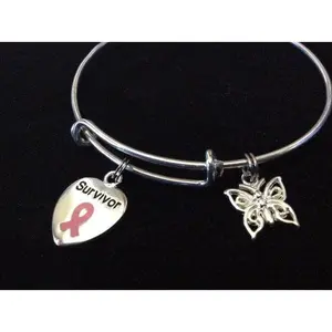 Pink Awareness Expandable Charm Bracelet Adjustable Bangle with Survivor Heart & Butterfly Charms for Breast Cancer Awareness Gift