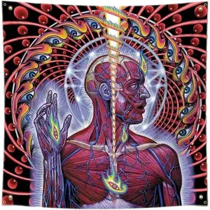 Tool Lateralus Banner Huge Poster Tapestry Flag Album Cover Art 4x4 Ft for Room Wall Garage Man Cave Outdoor/Indoor Decor