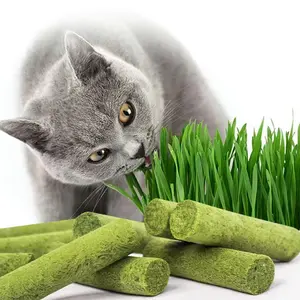 Cat Grass Teething Stick for Cat,Cat grass treats Cat Grass Stick Canned for Indoor Cats, Cat Grass Treats Hairball removal Relief and Teeth Cleaning cat grass treat hairball control snack stick hair ball oral health