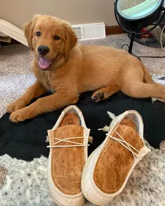 Men's Custom Ostrich Hey Dudes