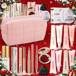 New Year Makeup Kit Set 12 PCS, Pink Cosmetic Bag with Color Shift Foundation, Blush, Translucent Powder, Lash Primer, Lip Gloss, Aegyo Sal Pen, Gift for Christmas  New Year Valentine‘s Day