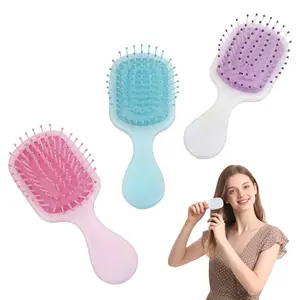 2 Pieces Mini Wet Hair Brush, Travel Detangling Brush, for Most Hair Types, with Ease Knots Without Tears or Breakage, Multicolor