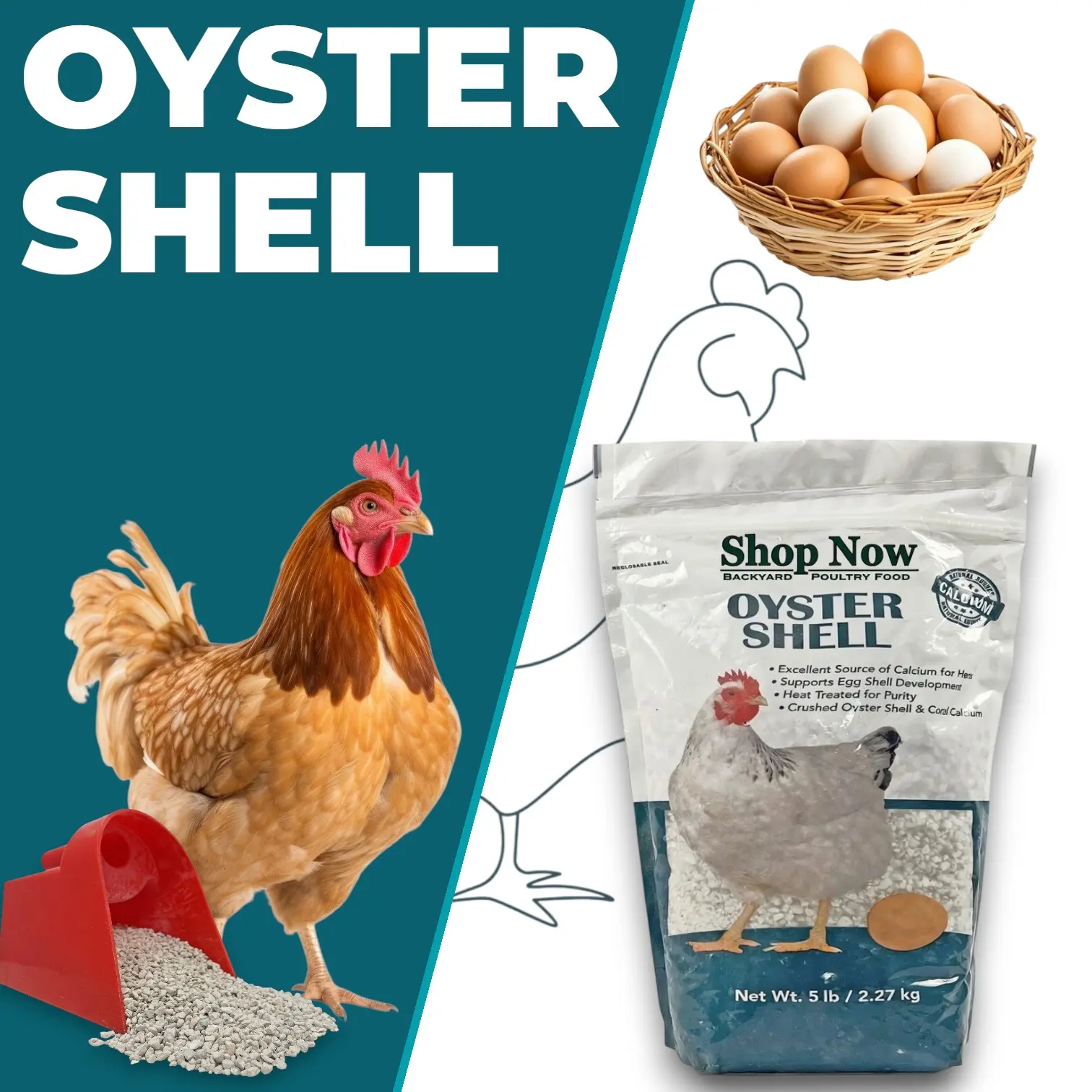 Crushed Oyster Shell Bird Feeding Supplies - 5 lb Bag, Natural Free-Choice Calcium Source for Backyard Laying Hens