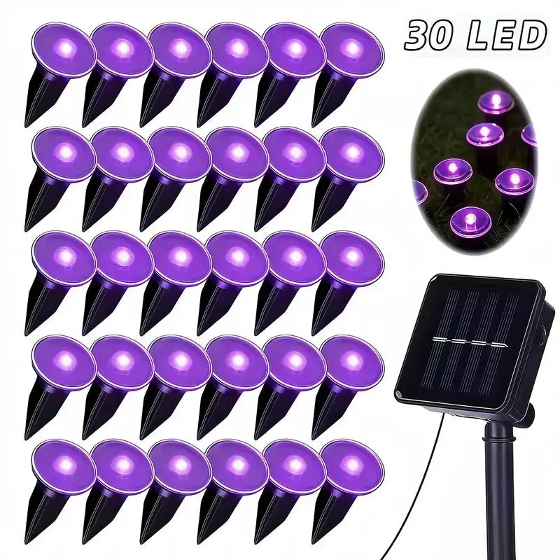 Guide Light 30-Light (Purple)