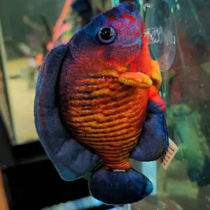 Coral Beauty Plush