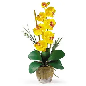 Nearly Natural Single Stem Phalaenopsis Silk Orchid Arrangement