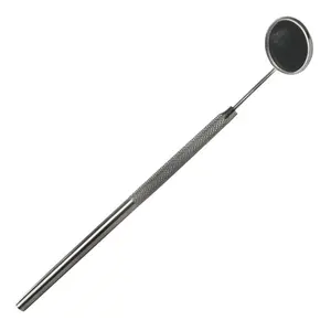 Mini Lash Mirror