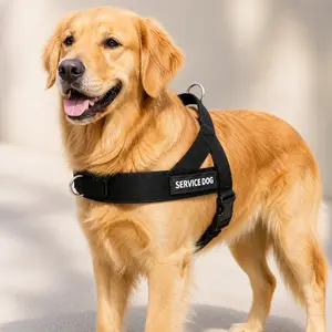 Dog Friendly Co. Basic Halter Harness - Easy-to-Fit, No-Pull, Safe, Secure, Comfortable - Chafe-Resistant, Lightweight, Adjustable Straps - Ideal for All Breeds