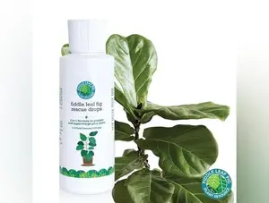 Fiddle Leaf Fig Rescue Drops by Fiddle Leaf Fig Plant Resource | 3-in-1 Liquid Fertilizer, Root Supplement & Immunity Booster (3.3 Fluid Ounces - 100ml) by Houseplant Resource Center