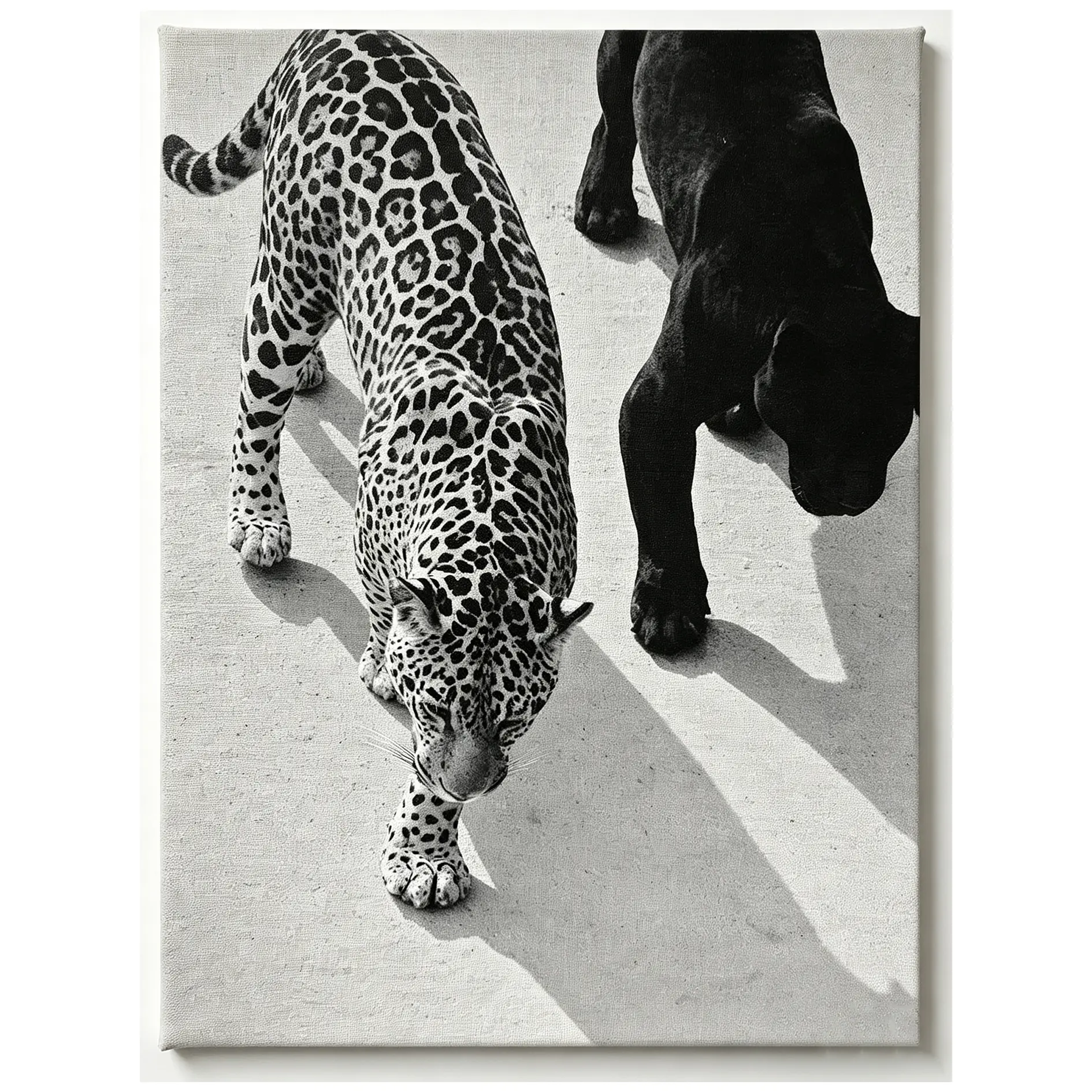 Cheetah Jaguar Posters Black and White Fashion Wildlife Wall Art Retro 1950s Animal Leopard Canvas Prints for Living Room Bedroom Wall Decor 12X18 inch Unframed