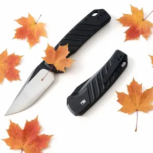 Fruit knife, small kitchen knives, household knives, pocket knife, great gift