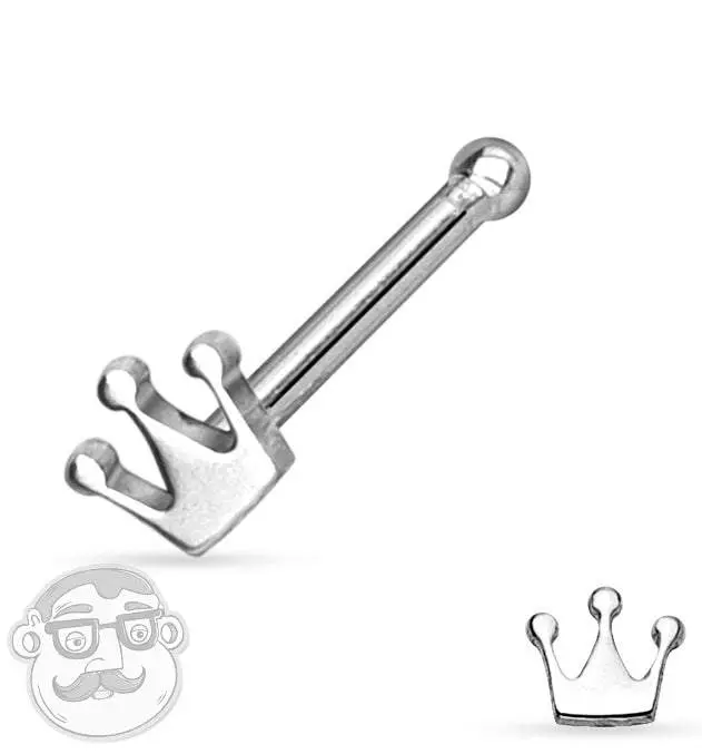 20G Crown Stainless Steel Nose Ring Stud