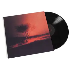 Joji: Piss In The Wind Vinyl LP