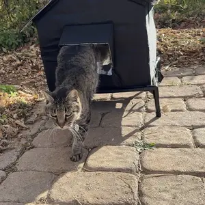 Insulated Outdoor Cat House - Warm Cushion Included, All-Season Use for Outdoor & Indoor Cats - Winter-Ready Cat Shelter, Easy to Assemble