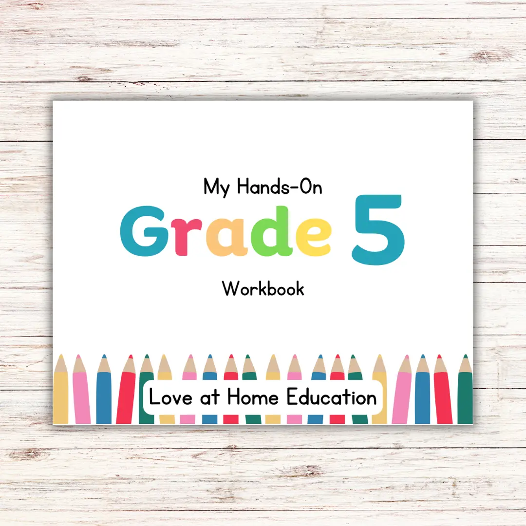 5th Grade Learning Book (Life skills, Division, Multiplication, Homonyms) Teaching Supplies School Supplies Stationery Set Sketch Books