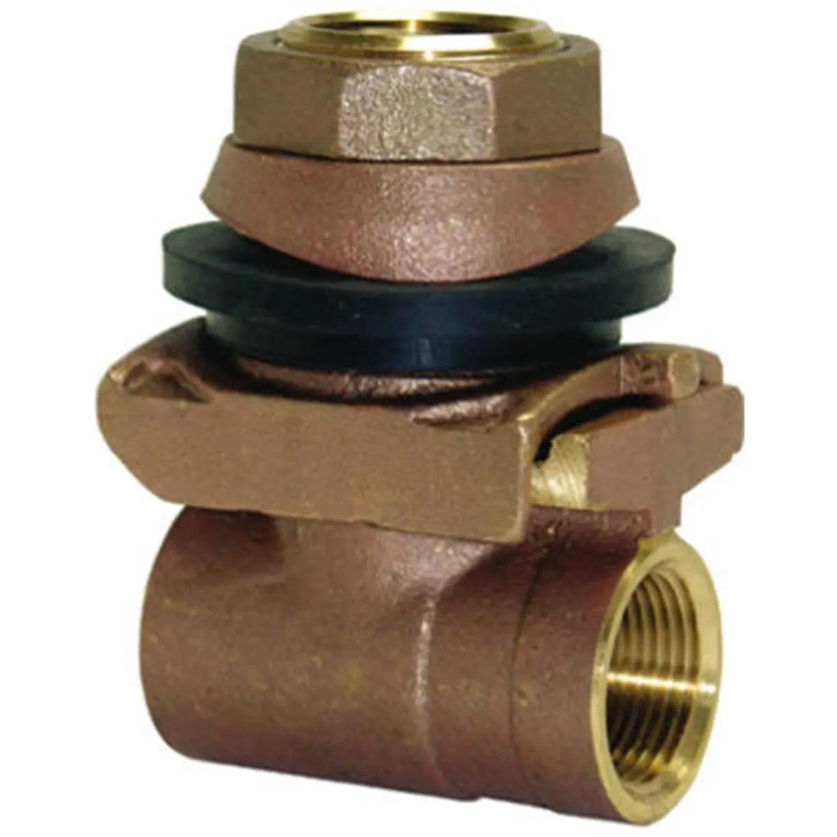 PA100NL 1 in. Brass Pitless Adapter