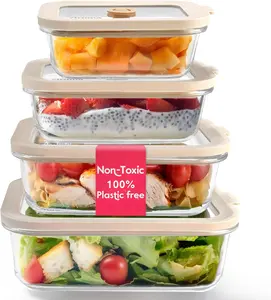 Multisize Non-Toxic Glass Food Storage Containers with Platinum Silicone Lids –  4-Pack