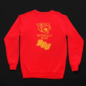 Bethune Cookman University HBCU BCU Wildcat Tee/Sweatshirt