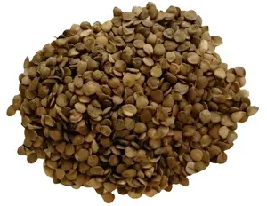 Semilla seca de Jícaro 1 lib - Jícaro Seed Drinks Flavor Spice Dried Traditional