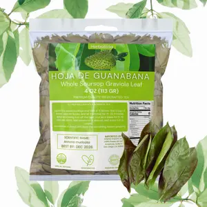 Viral Brand New Premium Guanabana Whole Sun Dried Graviola Soursop Leaf (4 oz | 300+ Leaves) | 100% Natural Hoja de Guanabana de Mexico | Fresh, Wildcrafted, and Authentic | Makes 30+ Cups Tea Beverage