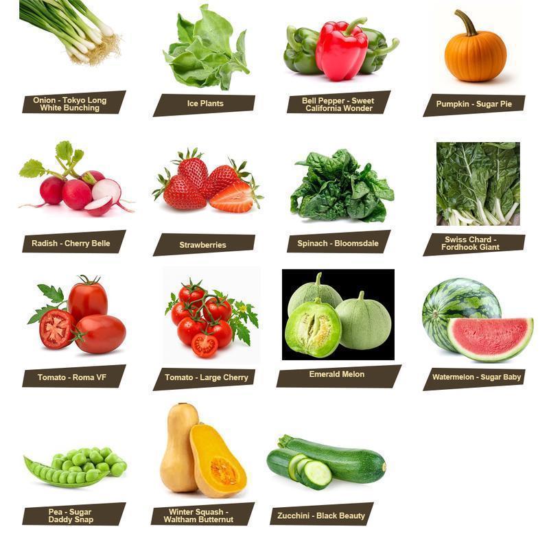 [Best seller] Organic Seed Collection Kit - 35 Selection Box for Indoor Planting with Cultivating Emergency Vegetables Heirloom Root Blend Great Growing Present for Every Family Yard