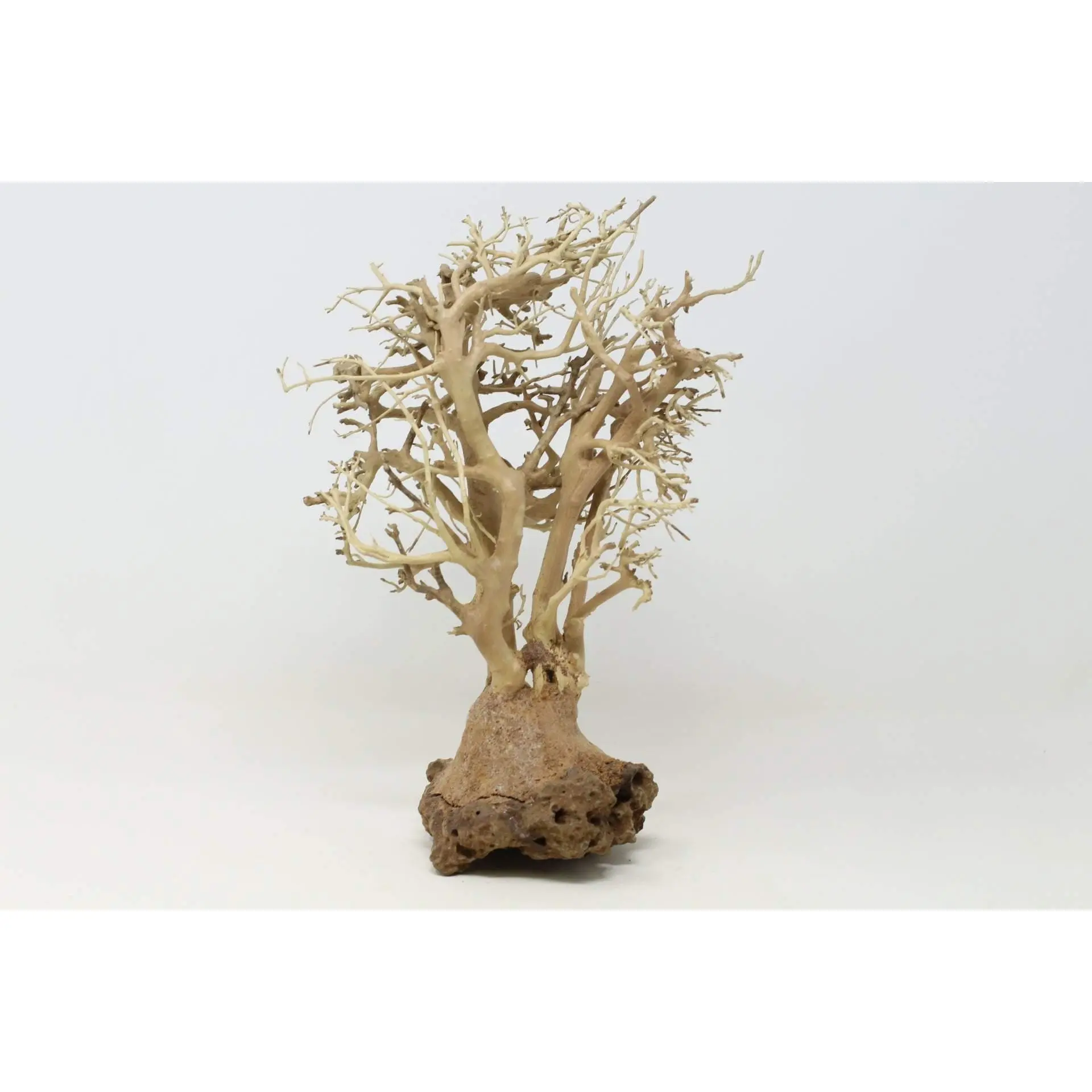 Aqarium Driftwood Bonsai Tree Aquascape Fish Planted Freshwater BE Random Pick