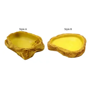 Reptile Feeding Bowl