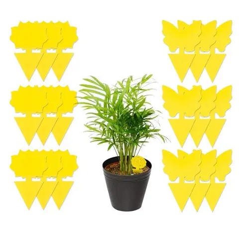Samerd 48-Pack Sticky Fruit Fly Fungus Gnat Traps, Non-Toxic,Indoor/Outdoor,Yellow Traps for Plants,Flowers,Garden,Light,Mosquitos,White Flying Insect