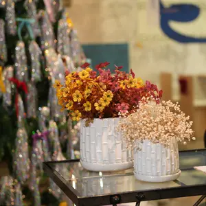 ARCH Handmade White Glazed Ceramic Planter Set of 2, 6" & 8" Diameter, Bamboo-like Pattern, for Orchids Indoor/Outdoor Shelf & Table Use, Breathable Clay