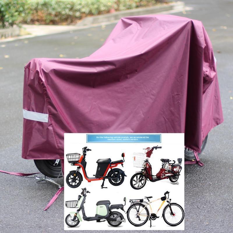 Medium size, no ears, chestnut color, no mirror, s