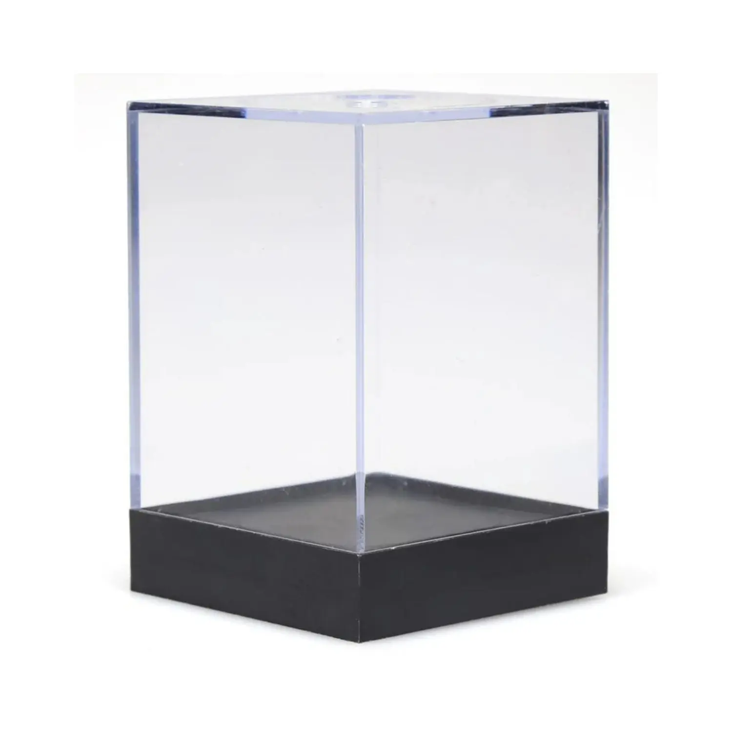 Figure Display Box "Large"