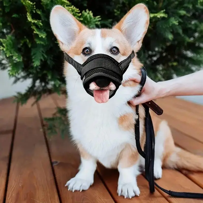 Anti-Bite Dog Mouth Cover, 1 Count Adjustable Breathable Anti Barking Mouth Cover, Pet Supplies, Comfortable And Safe Way To Control Biting And Barkin