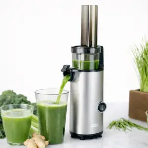 Compact Masticating Slow Juicer, Easy to Clean Cold Press Juicer with Brush, Pulp Measuring Cup, Frozen Attachment and Juice Recipe Guide