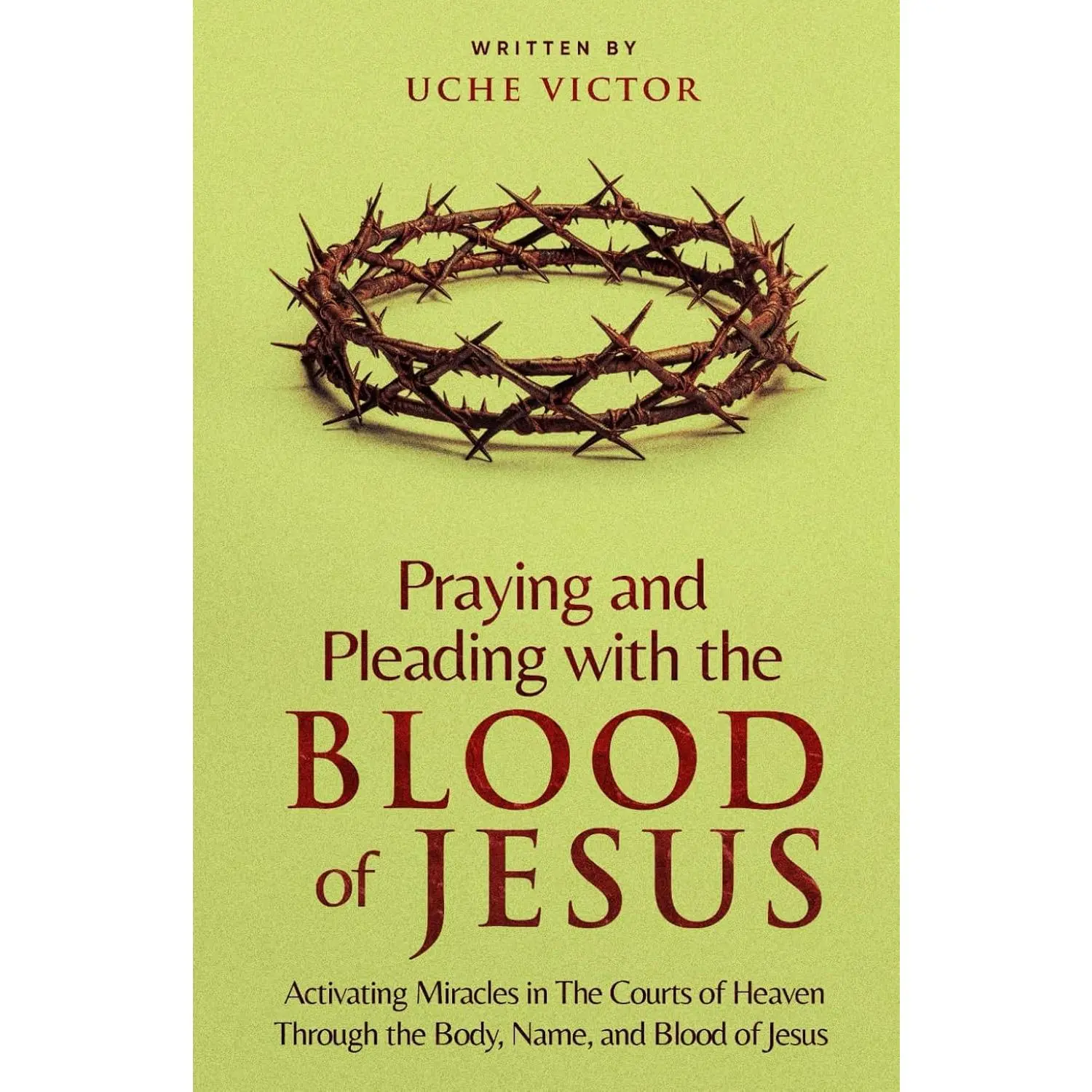 Praying and Pleading with the Blood of Jesus: Activating Miracles in The Courts of Heaven through the Body, Name, and Blood of Jesus