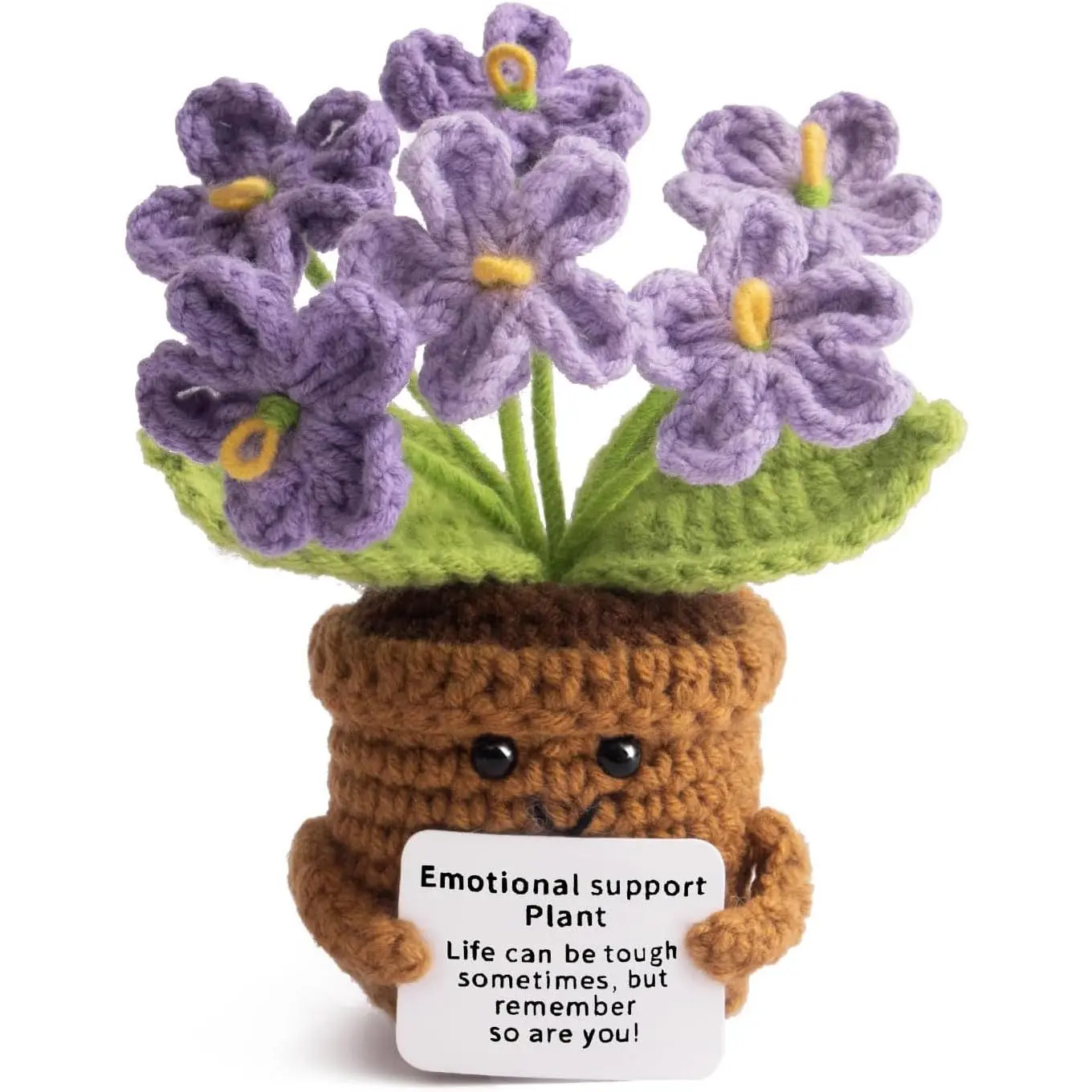 Purple Gradient Myosotis