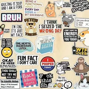 、130PCS Funny Saying Sticker Pack - Snarky, Sarcastic Bold Humor Vinyl Waterproof Meme stickers for laptop, computer, water bottle, ipad, phones bumper