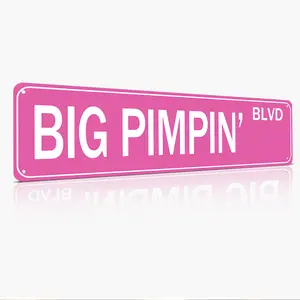 Big Pimpin Blvd Metal Street Aluminium Sign, Funny Slim Pink 16x4 Inch Wall Art Iron Poster for Home Farmhouse Garage Indoor Decor Street Sign Decoration