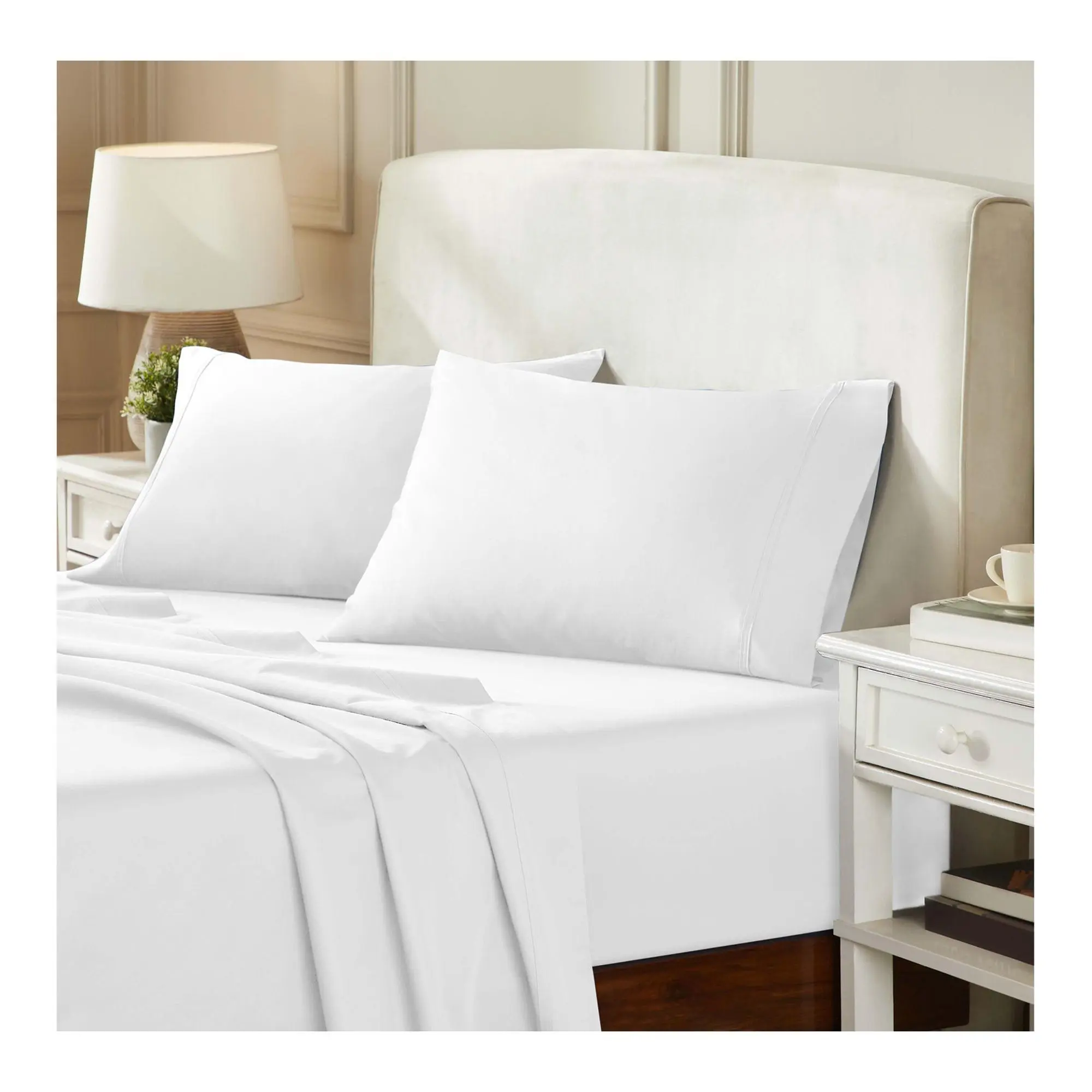 Superior 2 Piece Egyptian Cotton 850-TC Pillowcases Set, King