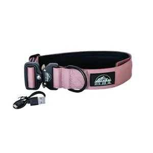 Dusty Rose Core 25 LED Collar