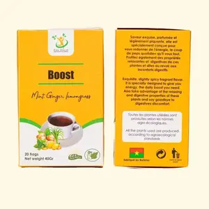 Eden Vitalité Boost Tea – Mint, Ginger & Lemongrass – 20 Bags (40g)