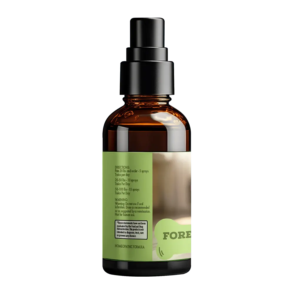 l-carnitine and weight loss GAT SPORT L-CARNITINE