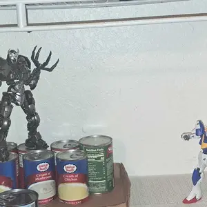 review image 4