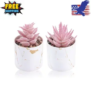 Set of 2 Succulents Plants Artificial Mini Fake Succulents Plants