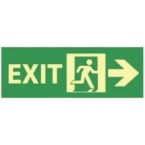 AccuformNMC Glow-in-the-Dark Plastic Exit Sign, 14" Wide, 5" High, Model GL308R