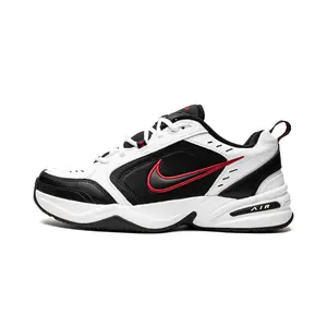 AIR MONARCH IV 415445 101