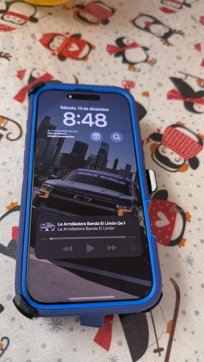 Item: Blue, Apple iPhone 16 Pro Max, YES