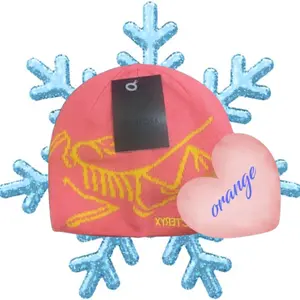 Arc'teryx Pink Bird Head Toque Beanie, Wool Knit Winter Ski Hiking Hat Unisex